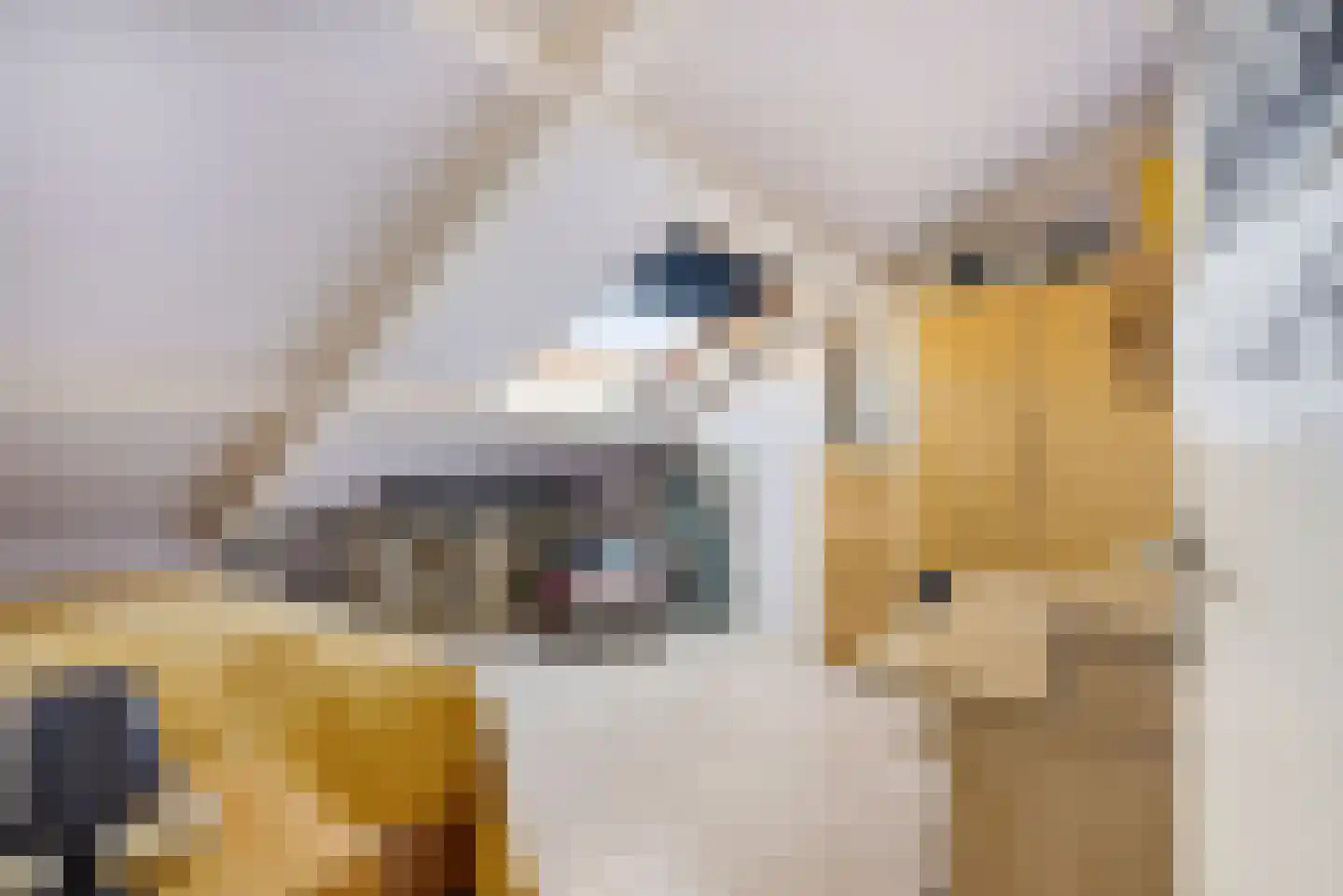 Roosje Voshoeve 1 Waddinxveen thumbnail 30