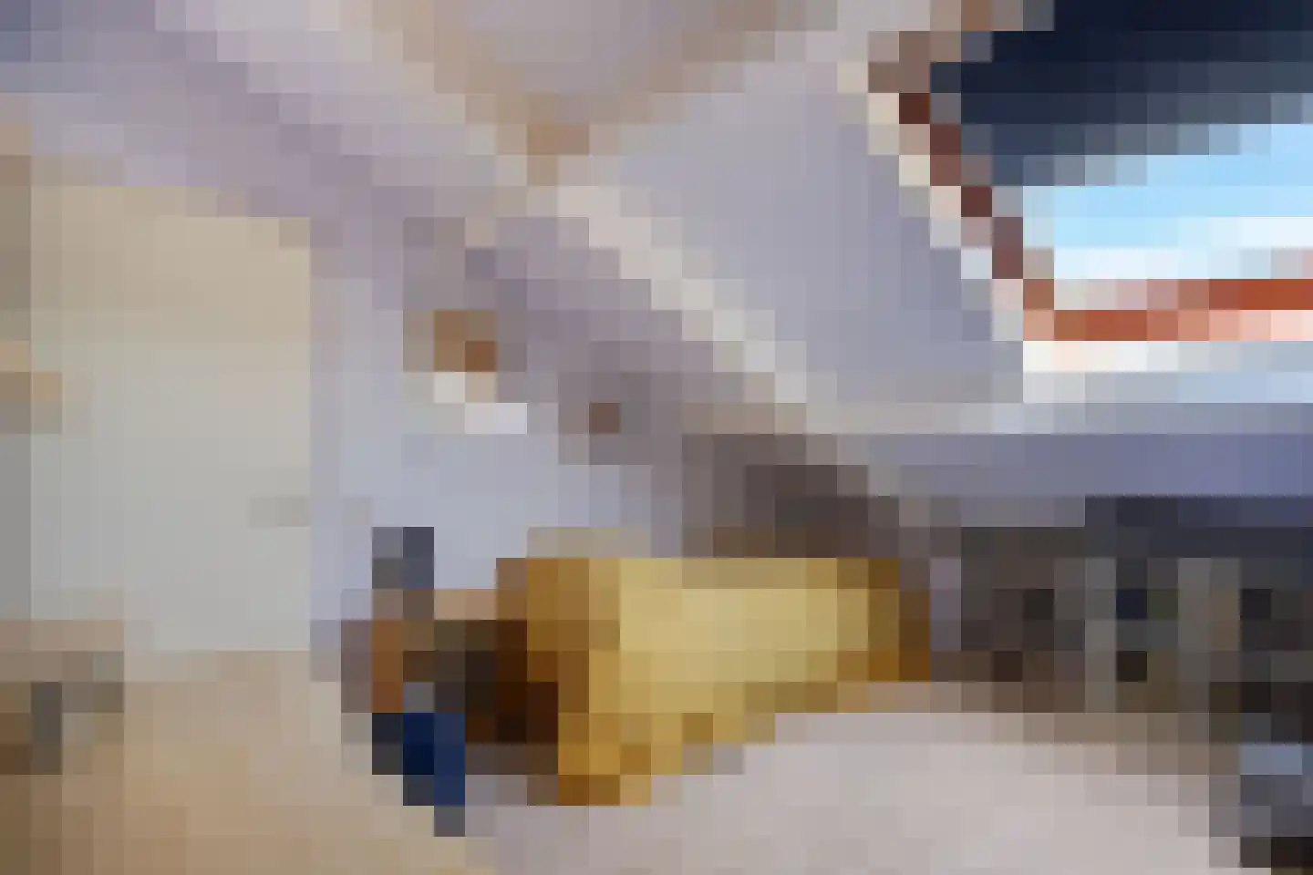 Roosje Voshoeve 1 Waddinxveen thumbnail 31