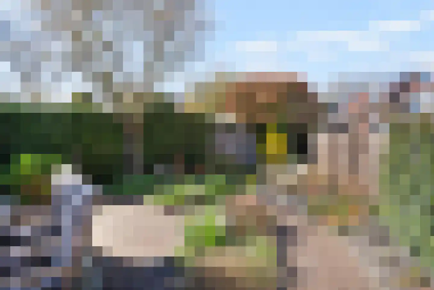 Roosje Voshoeve 1 Waddinxveen thumbnail 37