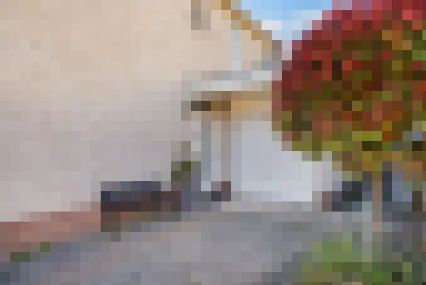 Roosje Voshoeve 1 Waddinxveen thumbnail 5
