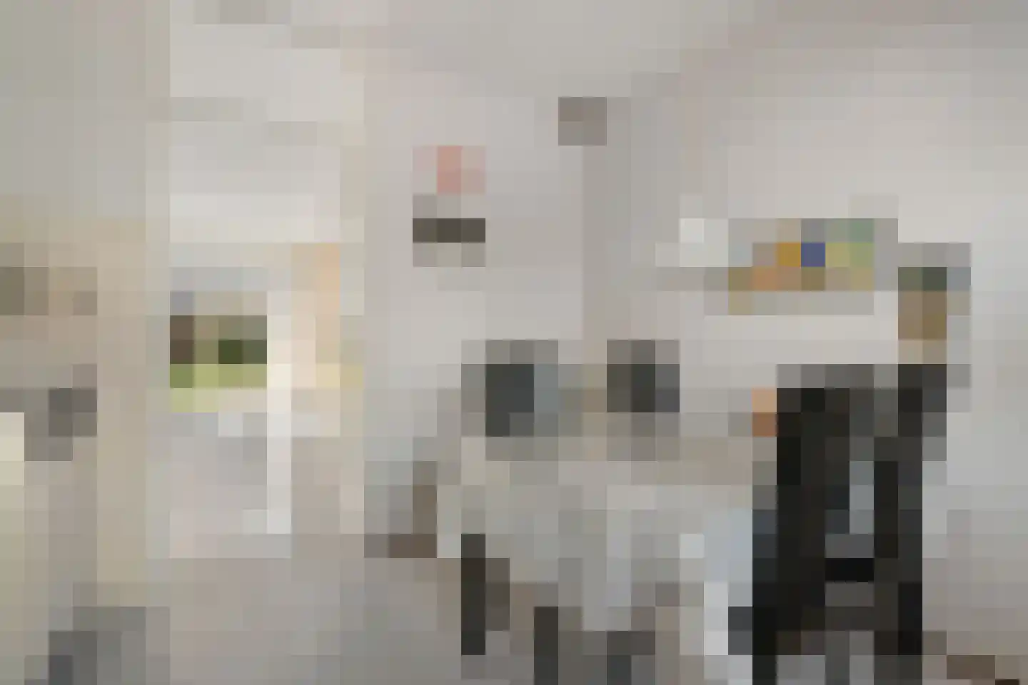 Roosje Voshoeve 30 Waddinxveen thumbnail 11