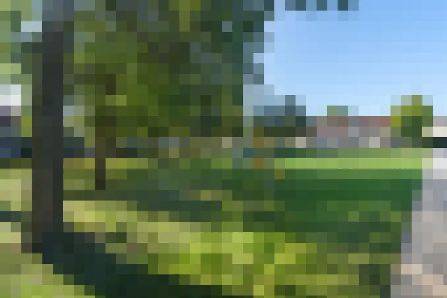Roosje Voshoeve 30 Waddinxveen thumbnail 30