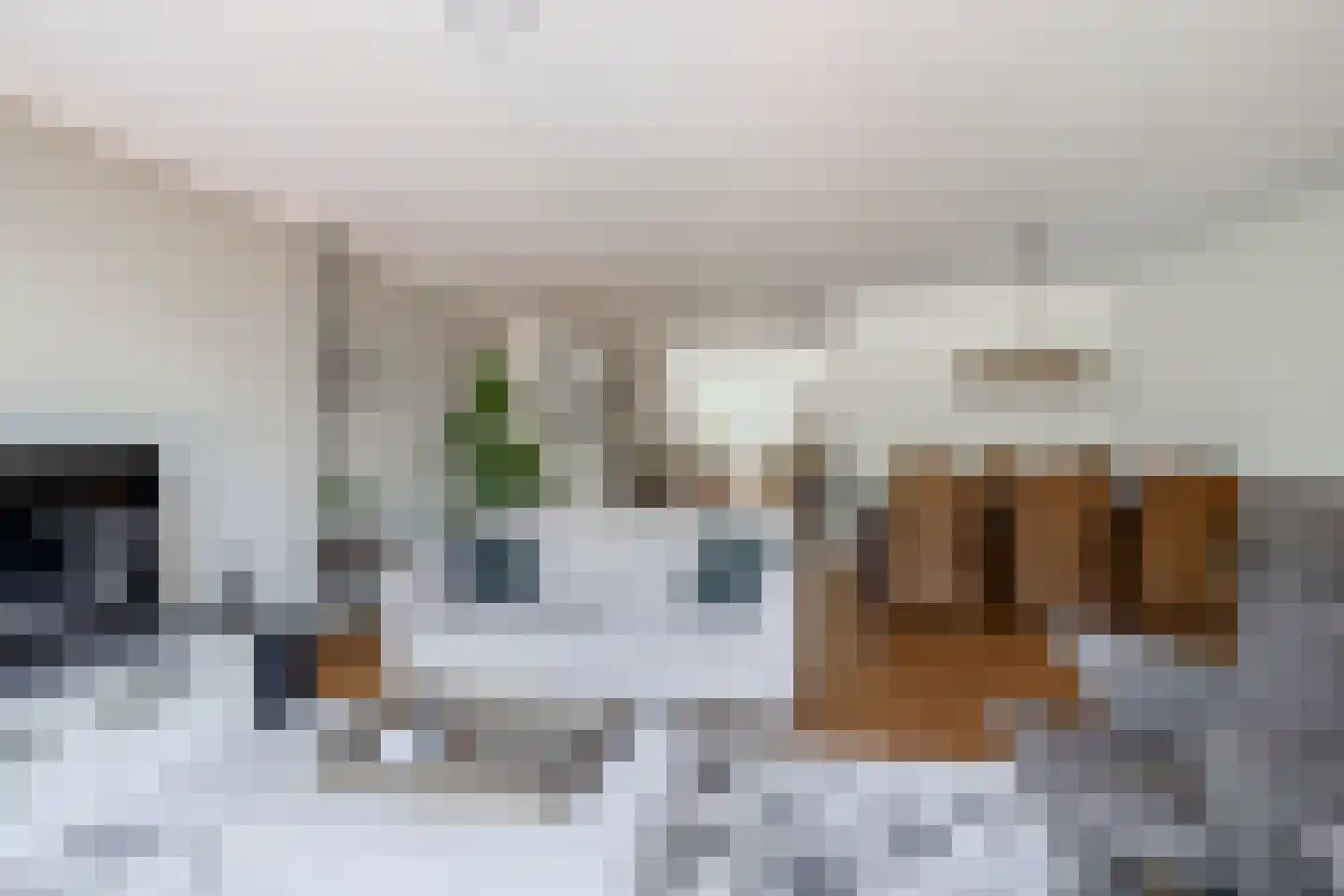 Roosje Voshoeve 49 Waddinxveen thumbnail 10