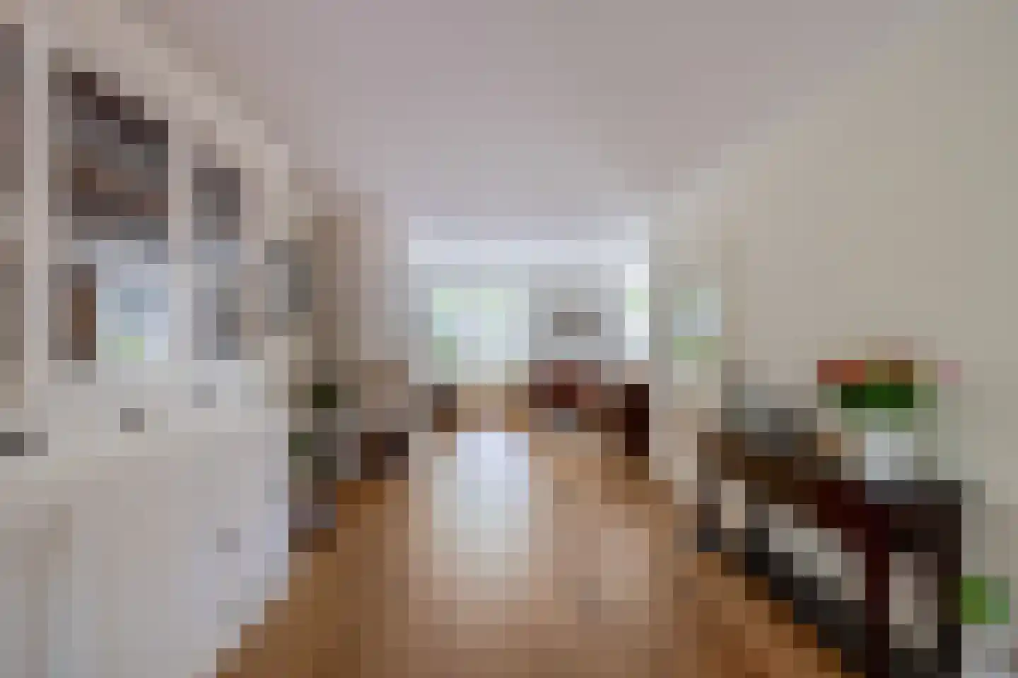 Roosje Voshoeve 49 Waddinxveen thumbnail 12
