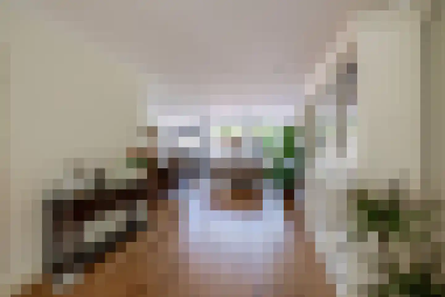Roosje Voshoeve 49 Waddinxveen thumbnail 13