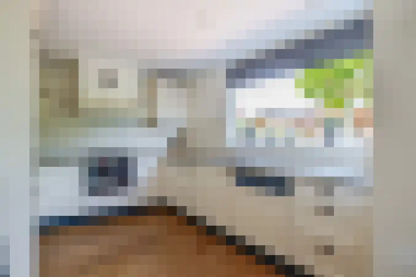 Roosje Voshoeve 49 Waddinxveen thumbnail 16