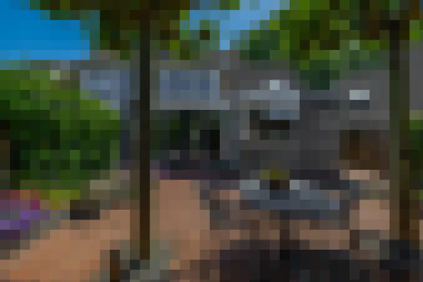 Roosje Voshoeve 49 Waddinxveen thumbnail 21