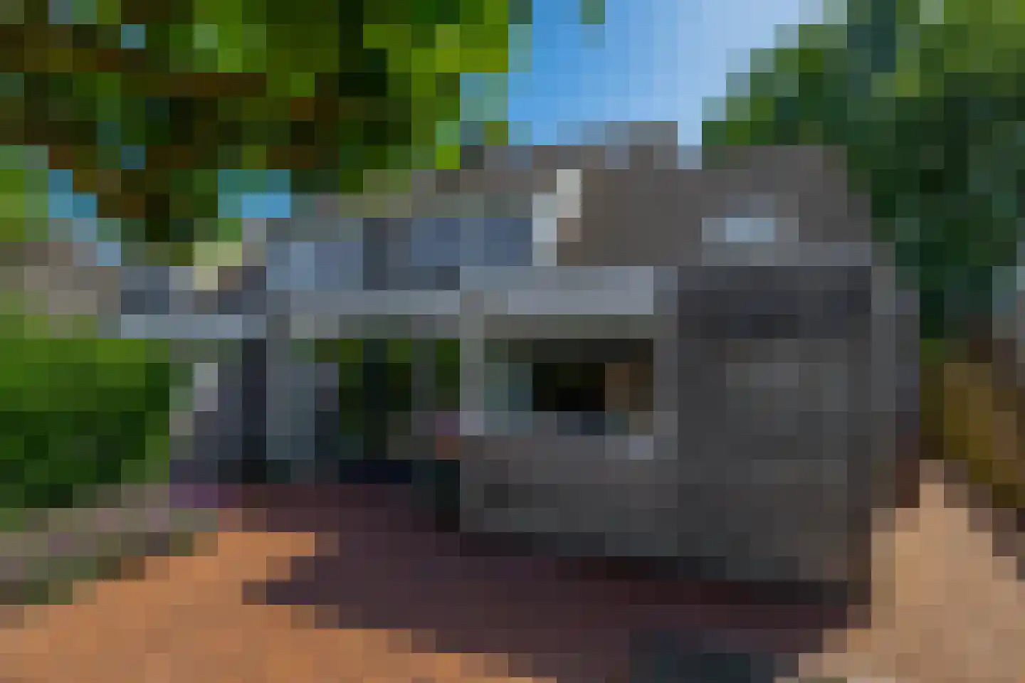 Roosje Voshoeve 49 Waddinxveen thumbnail 22