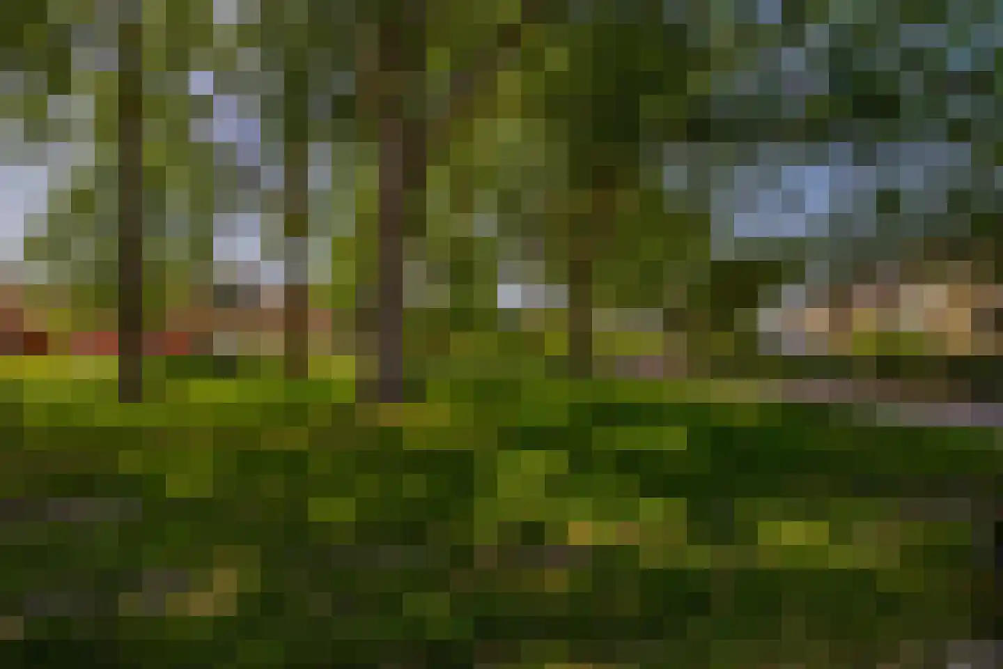 Roosje Voshoeve 49 Waddinxveen thumbnail 34