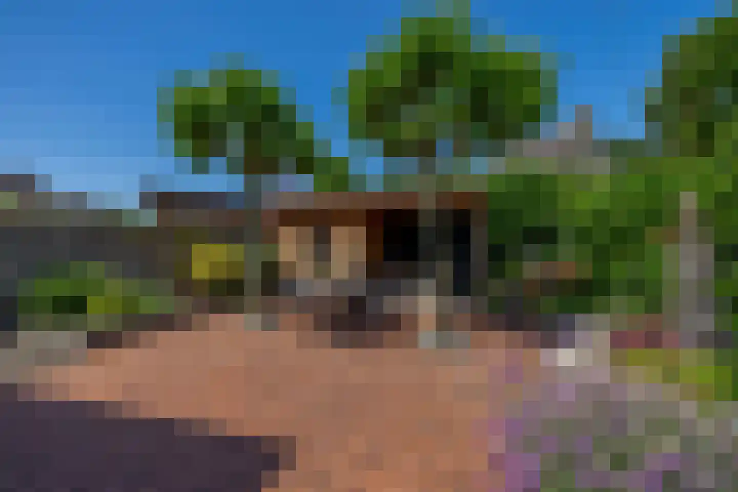 Roosje Voshoeve 49 Waddinxveen thumbnail 4