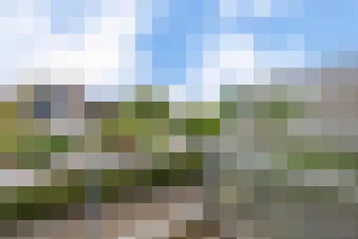 Roosje Voshoeve 78 Waddinxveen thumbnail 16