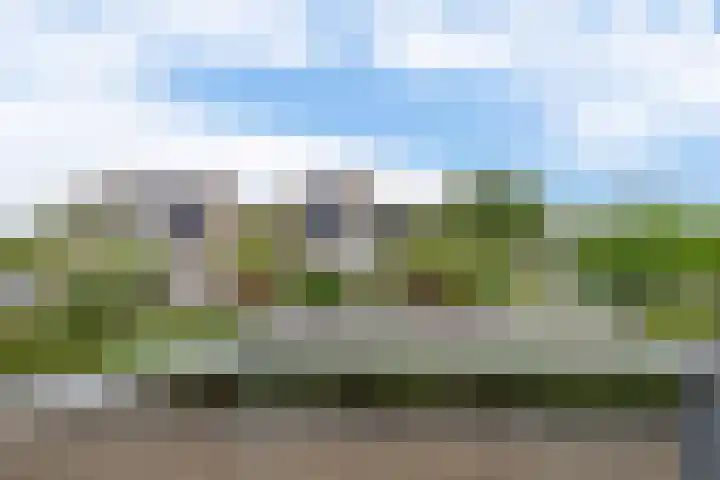 Roosje Voshoeve 78 Waddinxveen thumbnail 18