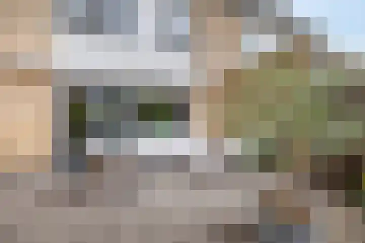 Roosje Voshoeve 78 Waddinxveen thumbnail 27