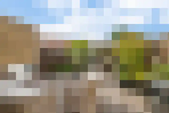 Roosje Voshoeve 78 Waddinxveen thumbnail 28