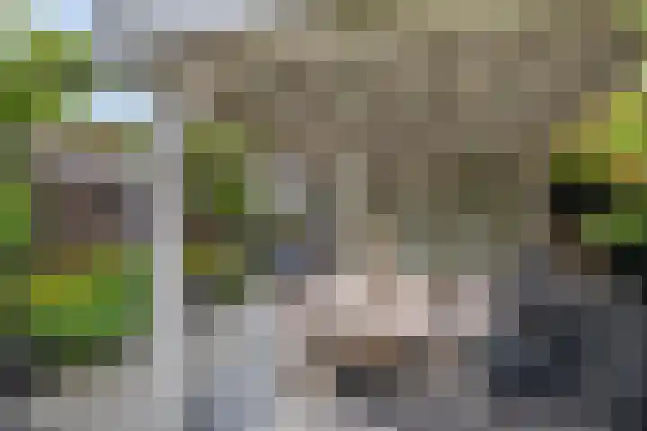 Roosje Voshoeve 78 Waddinxveen thumbnail 29
