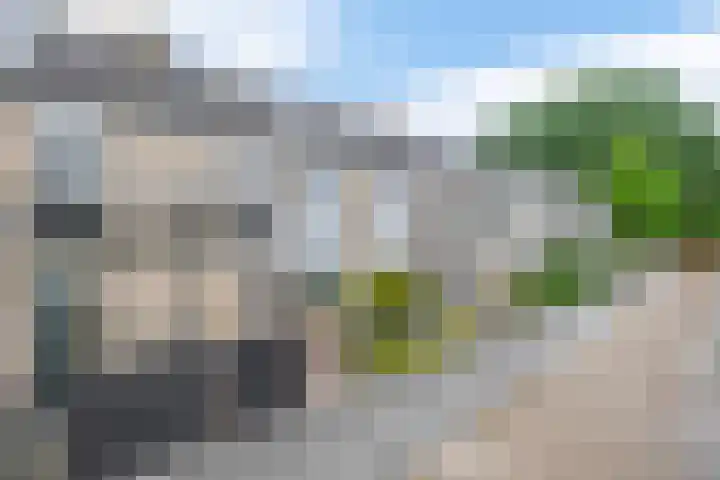Roosje Voshoeve 78 Waddinxveen thumbnail 32
