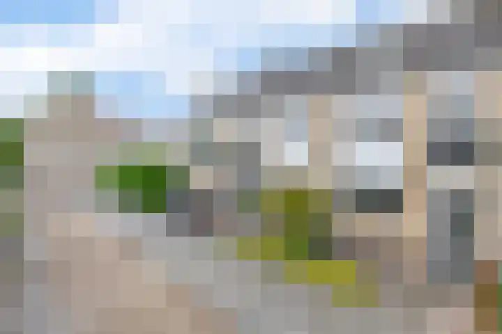Roosje Voshoeve 78 Waddinxveen thumbnail 33