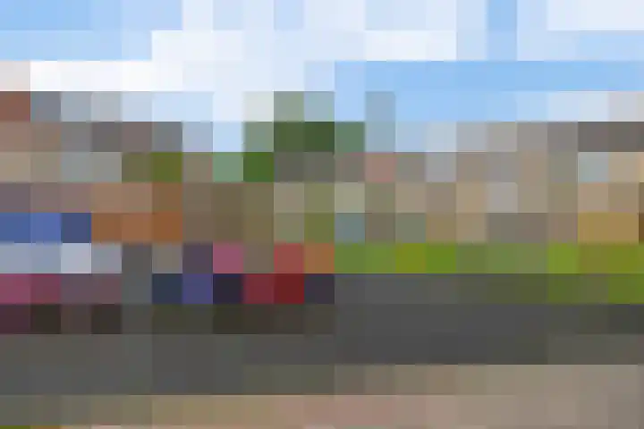 Roosje Voshoeve 78 Waddinxveen thumbnail 34