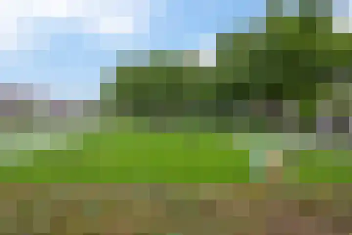 Roosje Voshoeve 78 Waddinxveen thumbnail 35