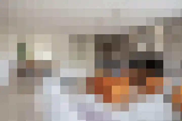 Roosje Voshoeve 78 Waddinxveen thumbnail 8