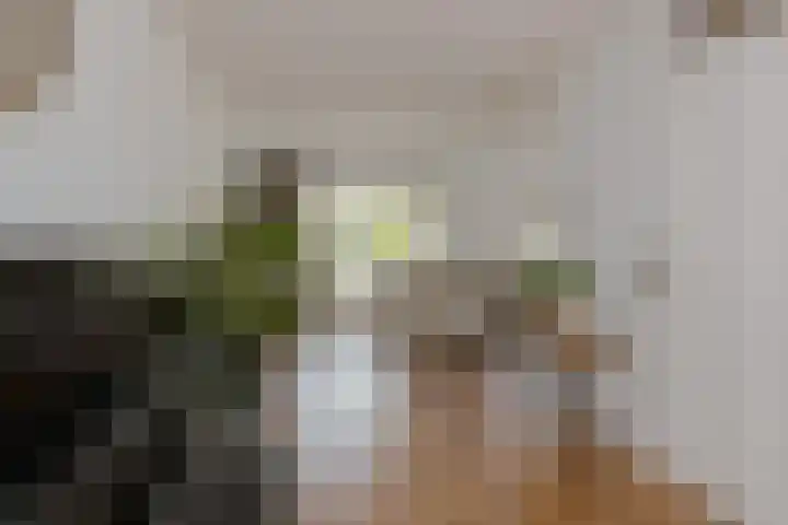 Roosje Vosplantsoen 10 Hoofddorp thumbnail 11