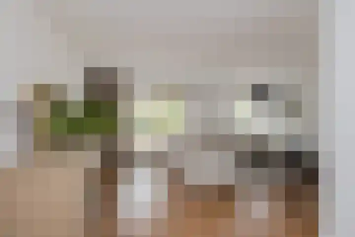 Roosje Vosplantsoen 10 Hoofddorp thumbnail 12