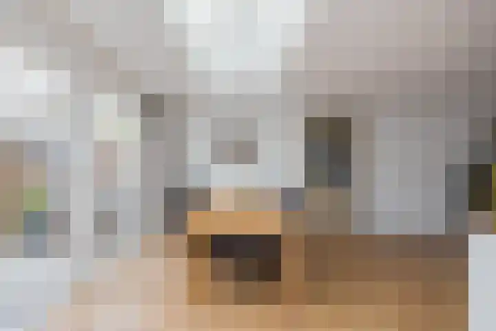 Roosje Vosplantsoen 10 Hoofddorp thumbnail 16