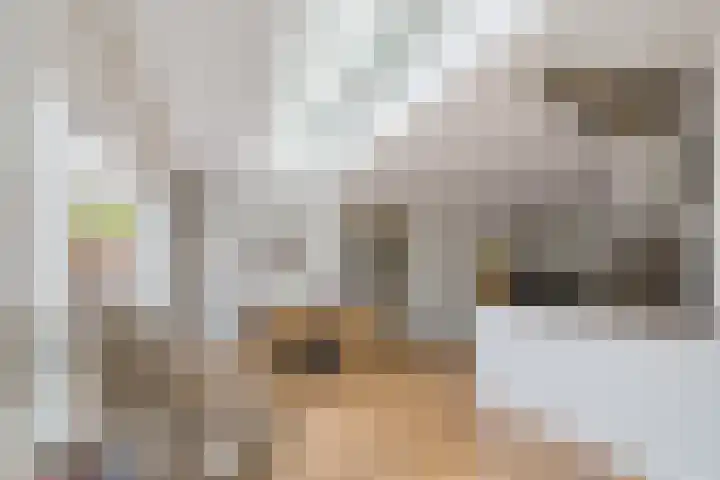 Roosje Vosplantsoen 10 Hoofddorp thumbnail 17
