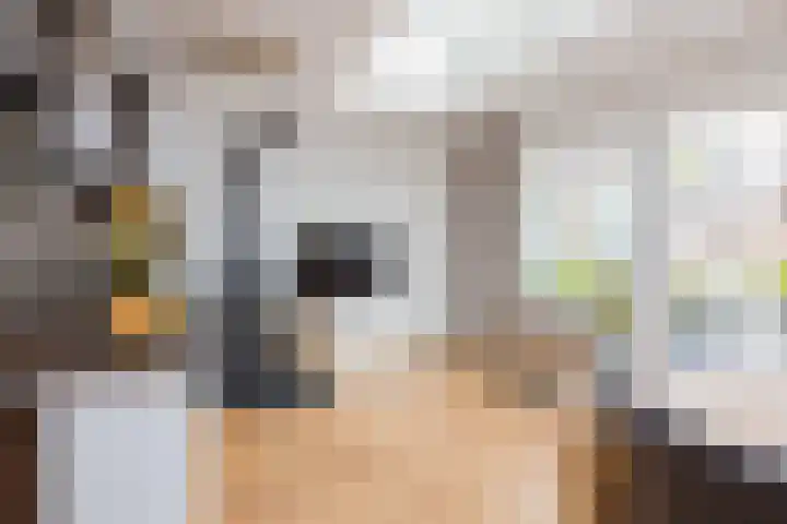 Roosje Vosplantsoen 10 Hoofddorp thumbnail 20