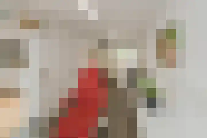 Roosje Vosplantsoen 10 Hoofddorp thumbnail 21