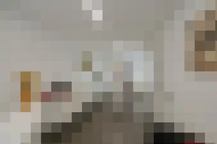 Roosje Vosplantsoen 10 Hoofddorp thumbnail 22