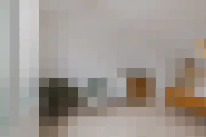 Roosje Vosplantsoen 10 Hoofddorp thumbnail 24
