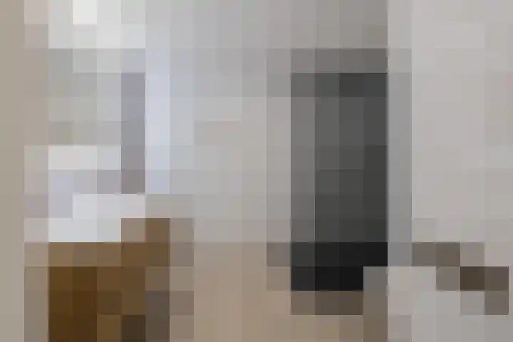 Roosje Vosplantsoen 10 Hoofddorp thumbnail 29