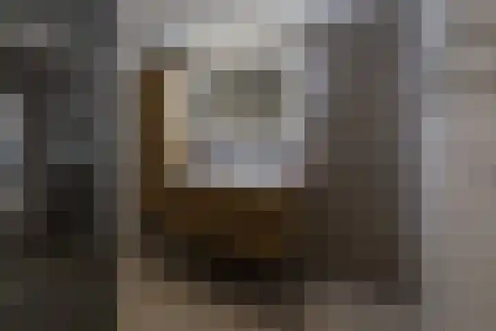 Roosje Vosplantsoen 10 Hoofddorp thumbnail 31