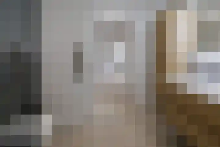 Roosje Vosplantsoen 10 Hoofddorp thumbnail 32