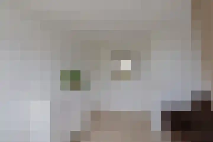 Roosje Vosplantsoen 10 Hoofddorp thumbnail 34