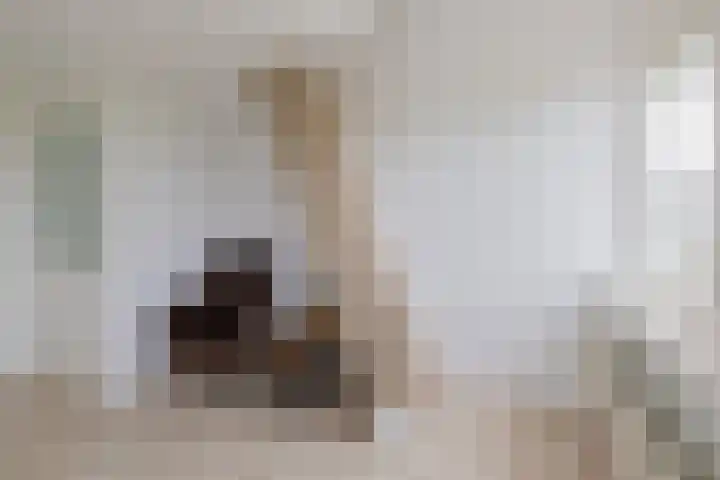 Roosje Vosplantsoen 10 Hoofddorp thumbnail 35