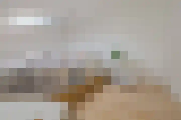 Roosje Vosplantsoen 10 Hoofddorp thumbnail 36