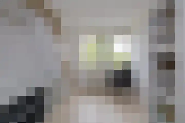 Roosje Vosplantsoen 10 Hoofddorp thumbnail 38