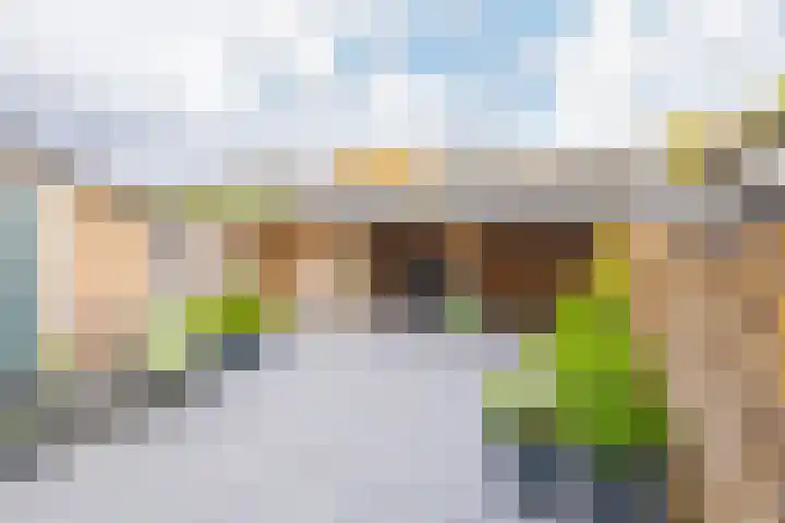 Roosje Vosplantsoen 10 Hoofddorp thumbnail 41
