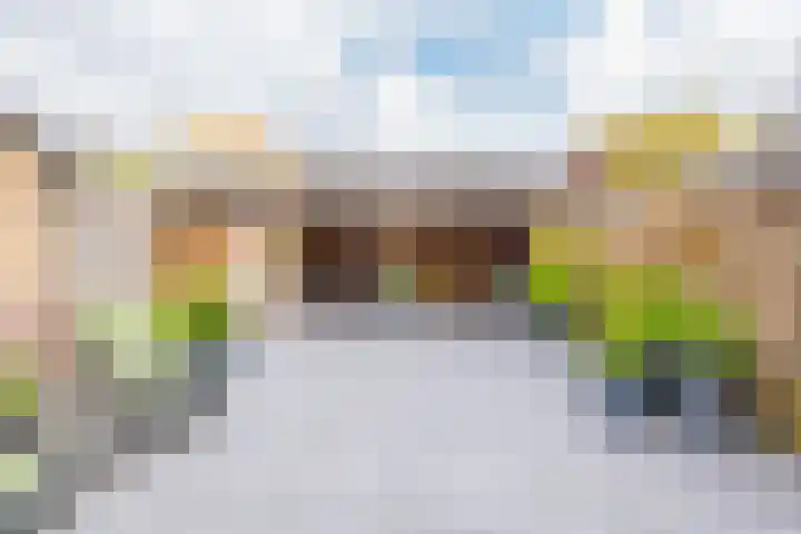 Roosje Vosplantsoen 10 Hoofddorp thumbnail 42