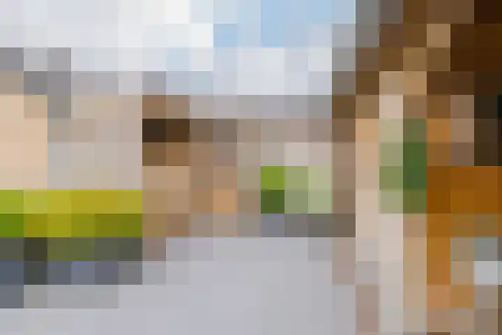 Roosje Vosplantsoen 10 Hoofddorp thumbnail 44