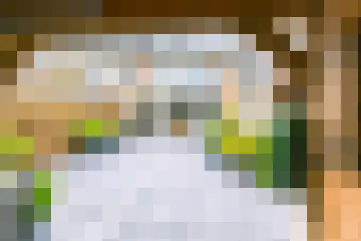 Roosje Vosplantsoen 10 Hoofddorp thumbnail 45
