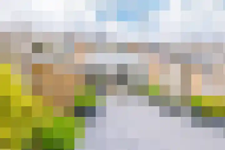 Roosje Vosplantsoen 10 Hoofddorp thumbnail 47