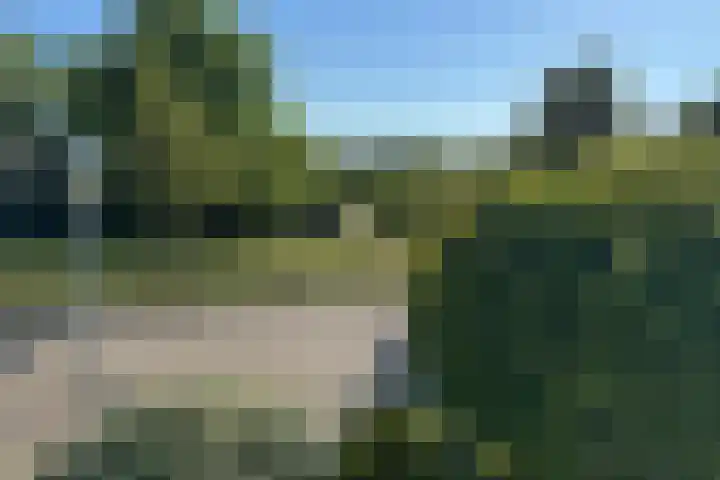 Roosje Vosplantsoen 10 Hoofddorp thumbnail 49