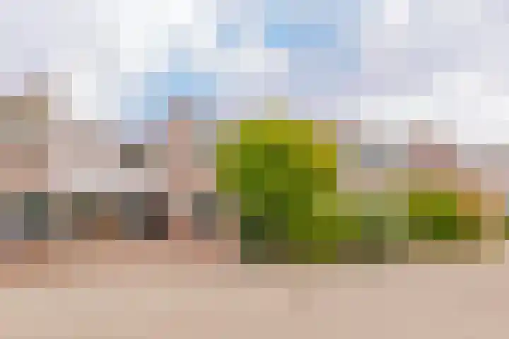 Roosje Vosplantsoen 10 Hoofddorp thumbnail 54