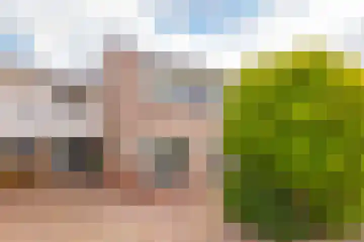 Roosje Vosplantsoen 10 Hoofddorp thumbnail 6