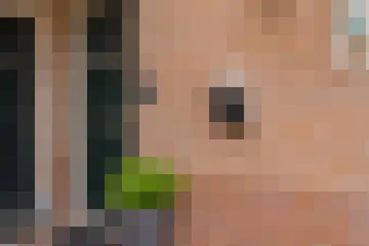 Roosje Vosplantsoen 10 Hoofddorp thumbnail 7