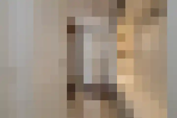 Roosje Vosplantsoen 10 Hoofddorp thumbnail 8