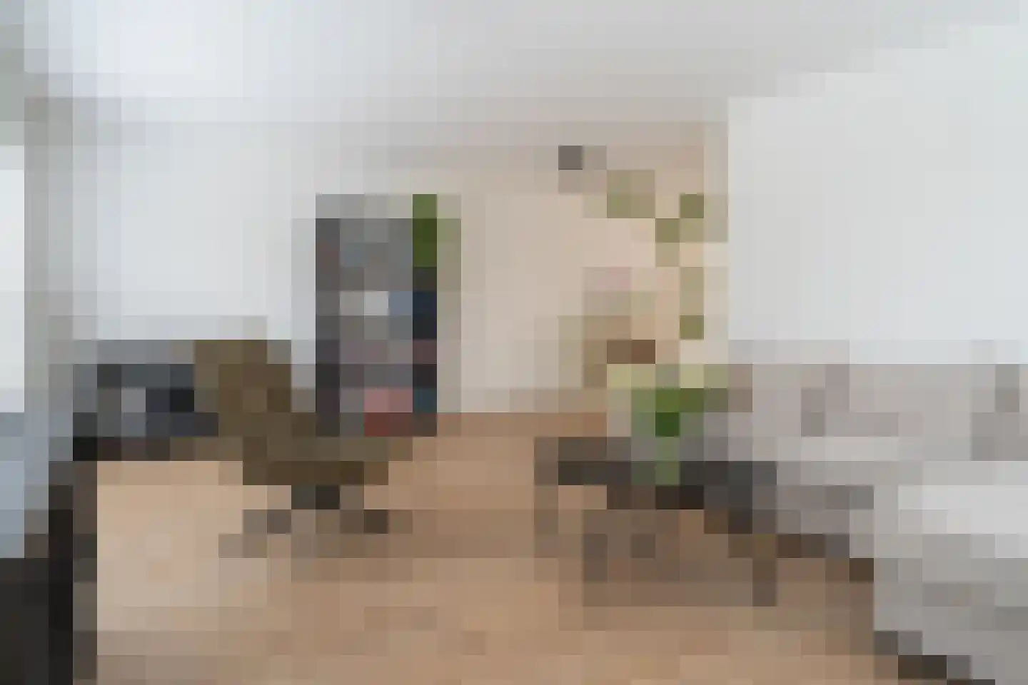 Roosje Vosplantsoen 12 Hoofddorp thumbnail 15
